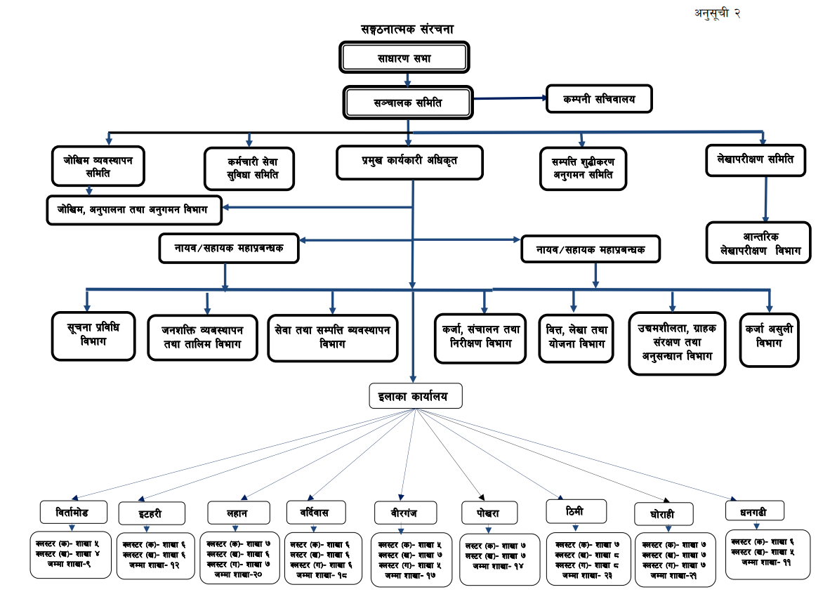 Image is of Organizational Structure